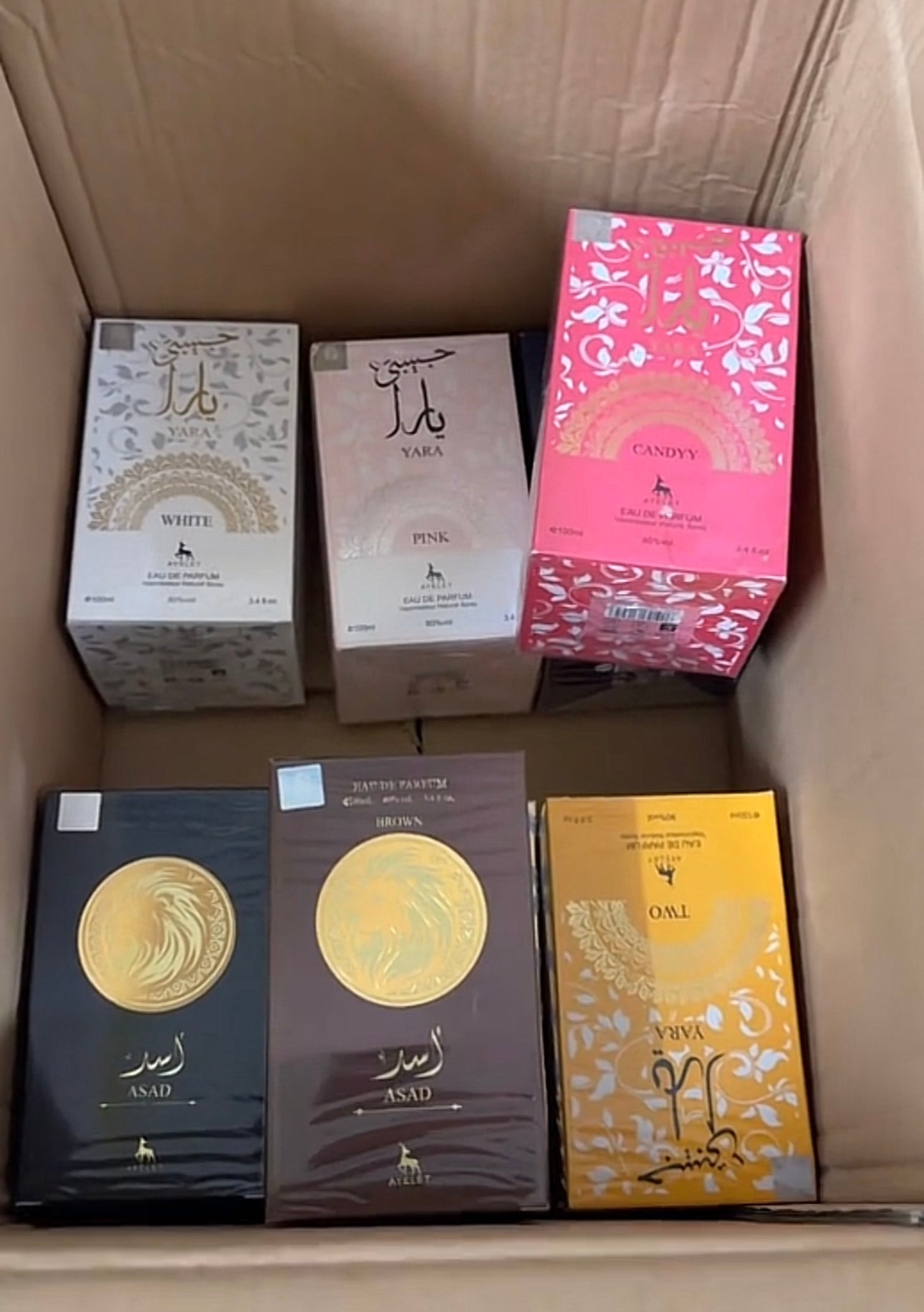 Dubai Perfume Box - 100ml (8 per box)